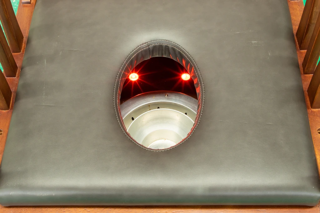 SaunasEnvy Dual-Therapy Yoni Sauna Chair