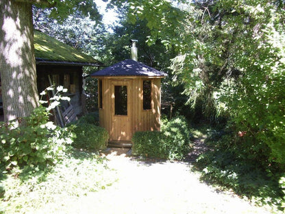 SAUNAONES® Cabin Sauna Eco Oasis 6